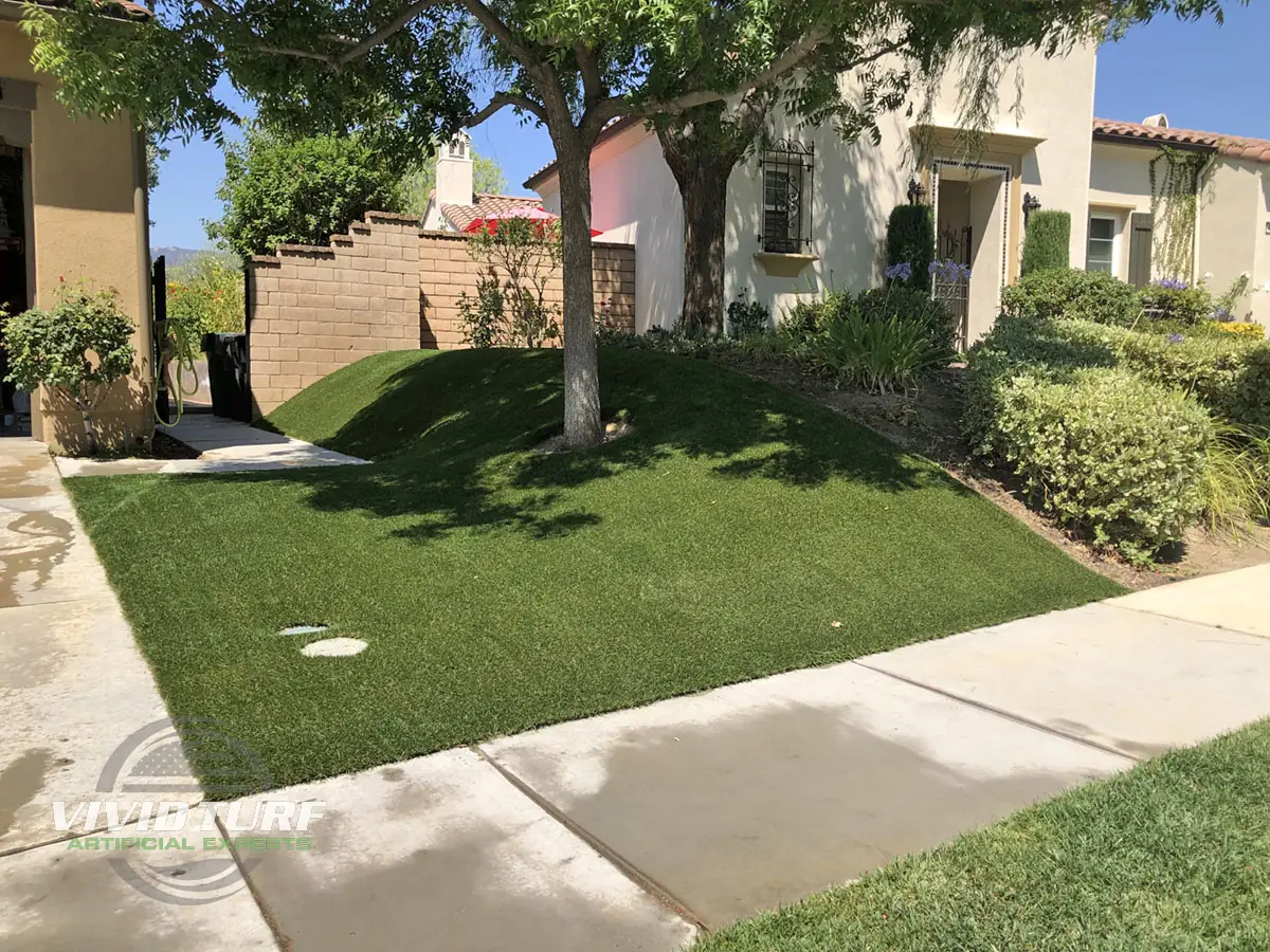 Front yard lawn on a slope