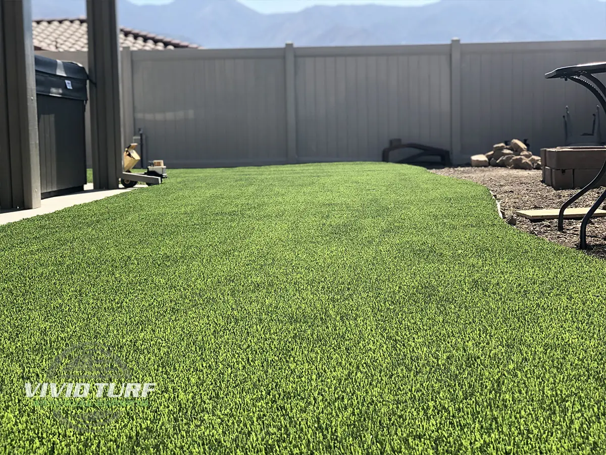 Backyard lawn