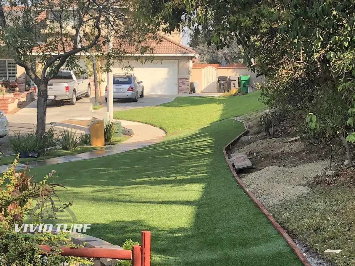 Front yard and parkway lawn