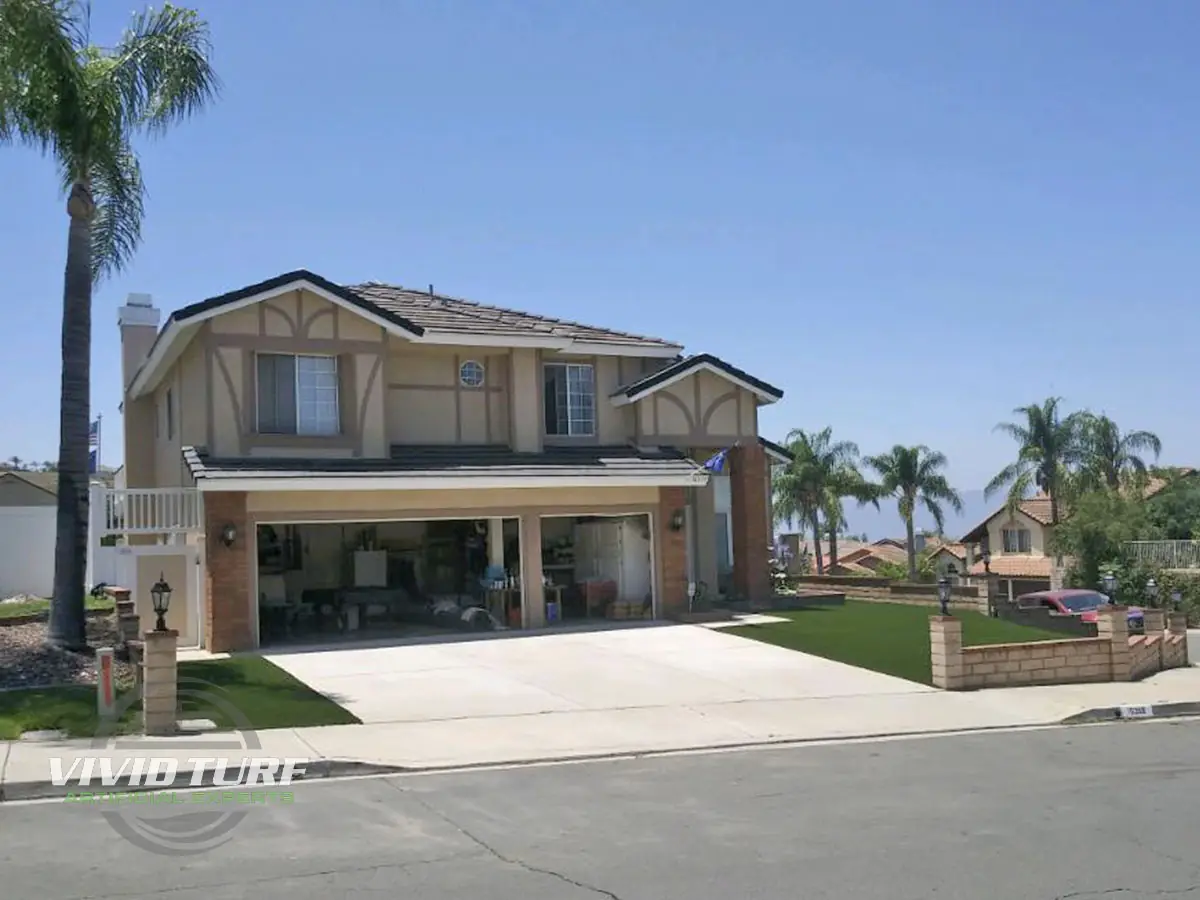 Front yard lawn and border