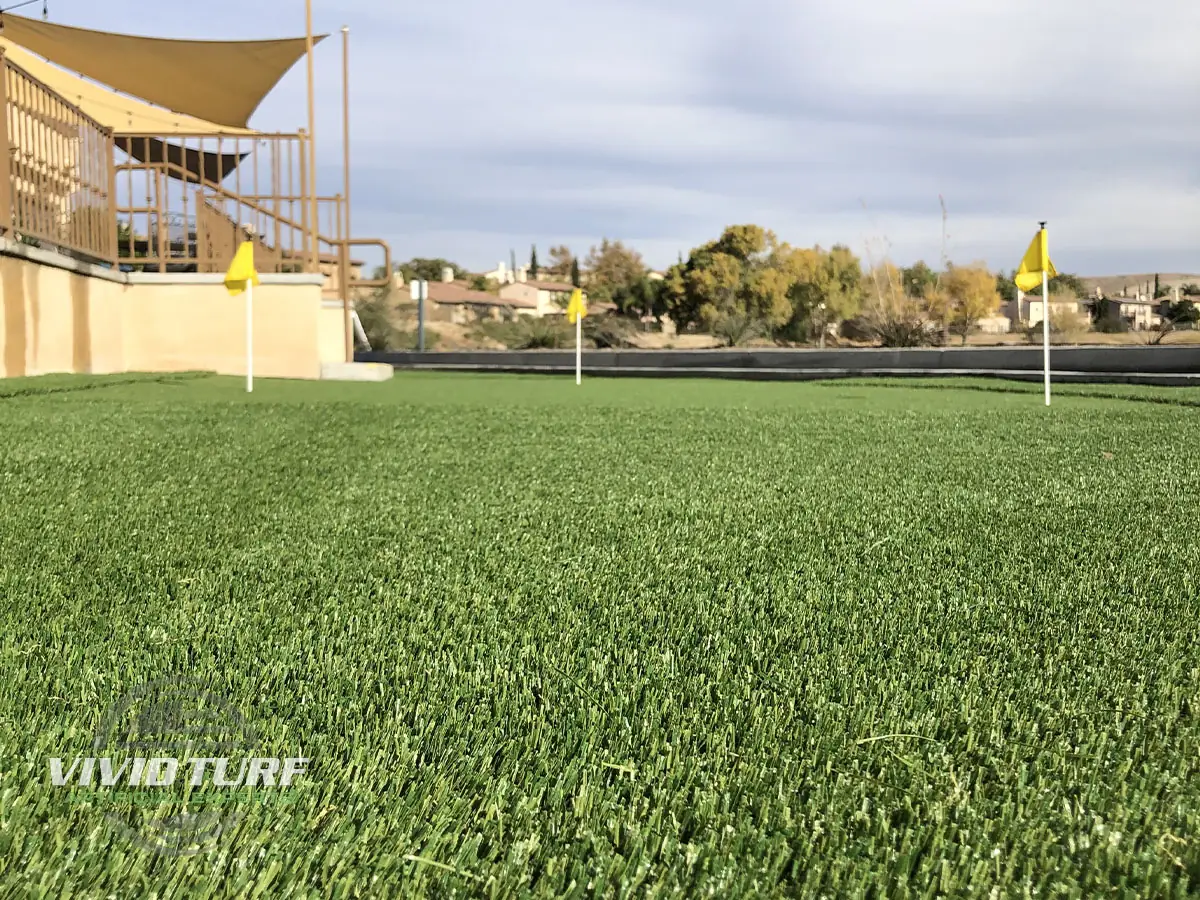 Putting green with fringe