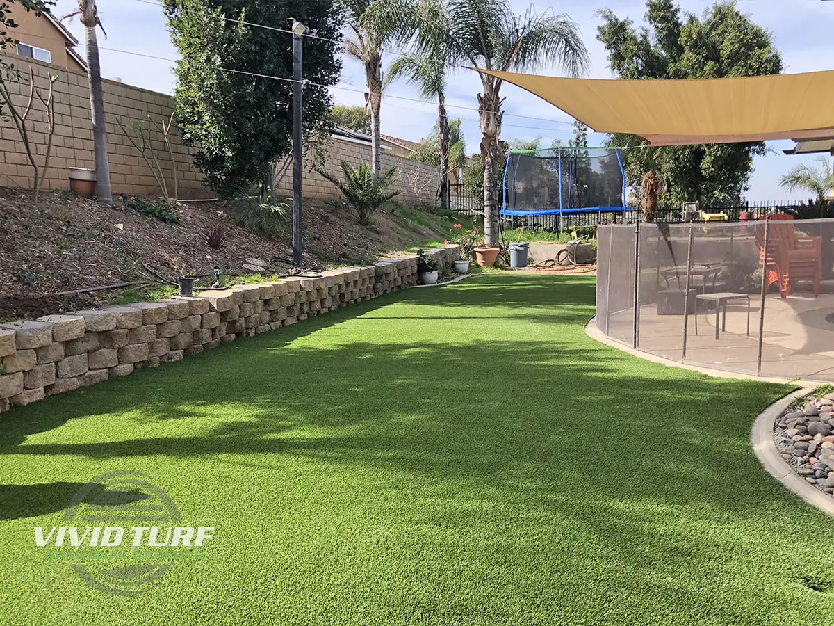 Backyard lawn with patio