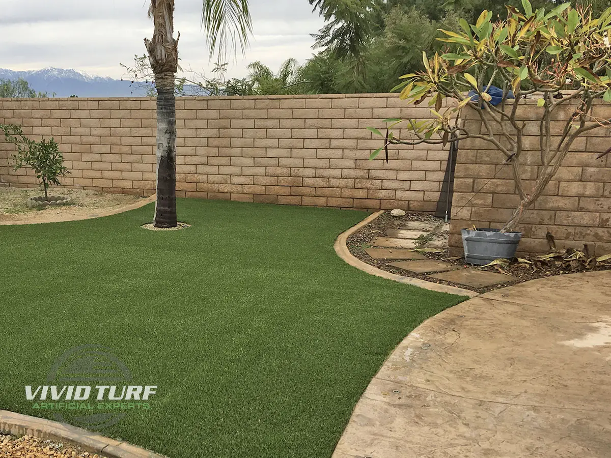 Backyard lawn around a tree