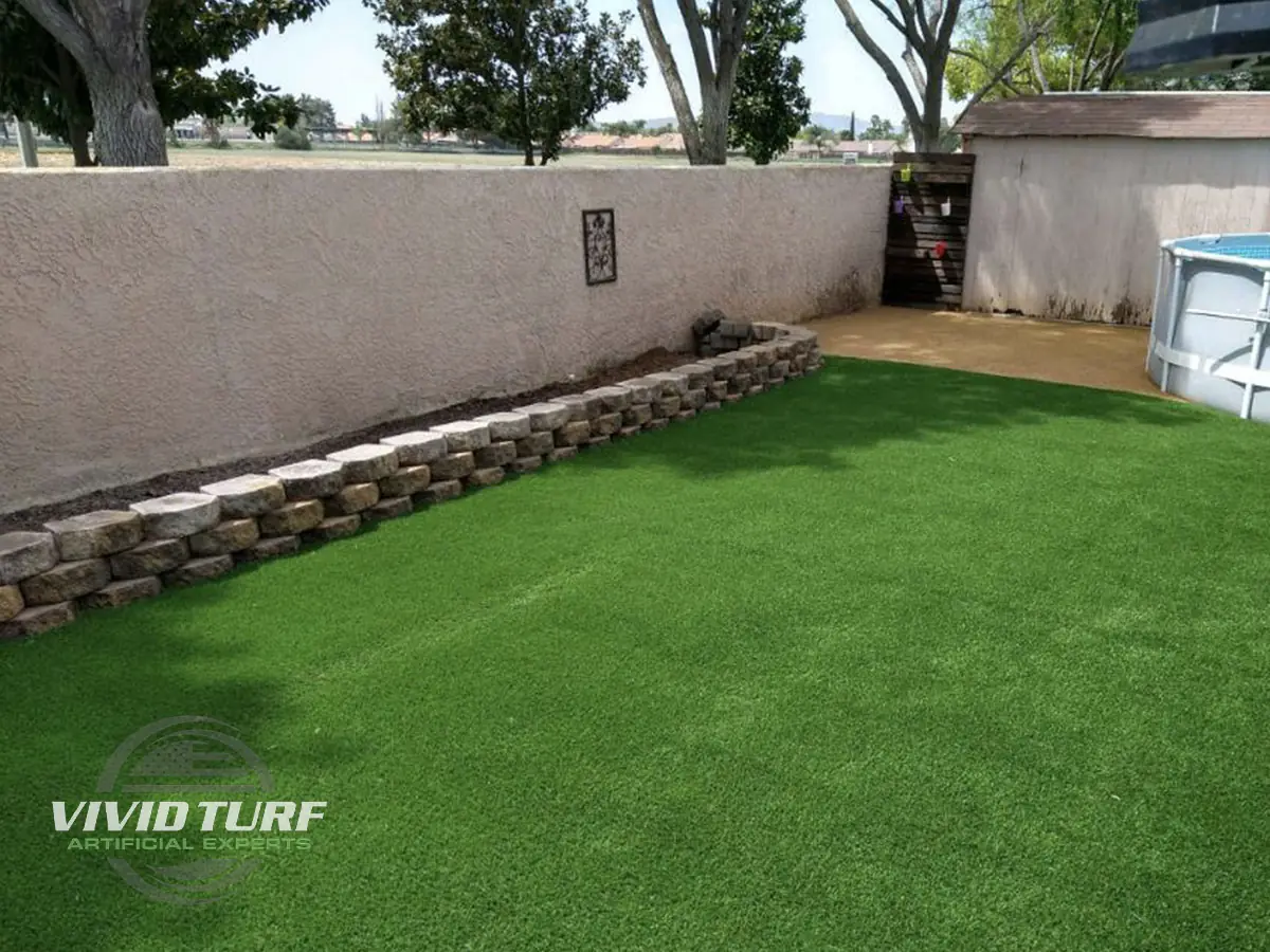 Backyard lawn