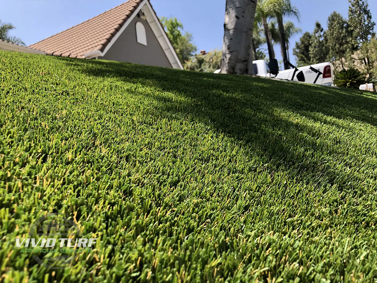 Lawn close-up