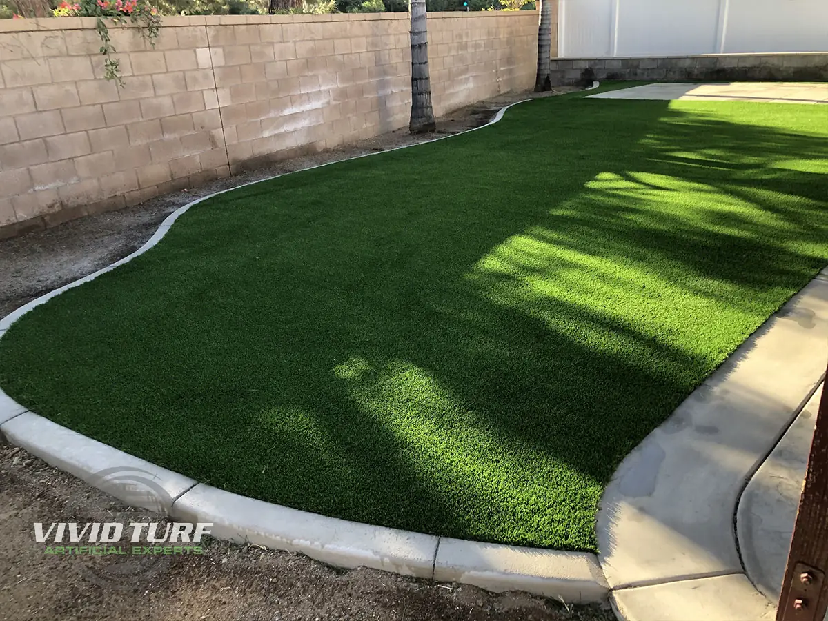 Backyard lawn with a curved border