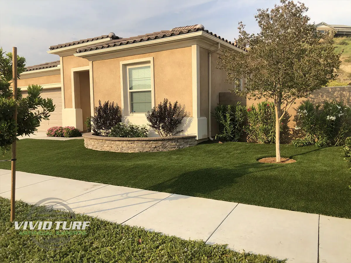 Front yard lawn