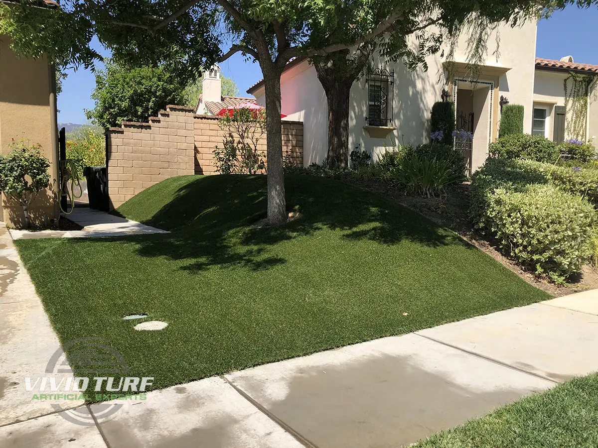 Front yard lawn