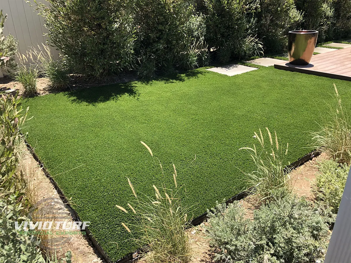 Backyard lawn