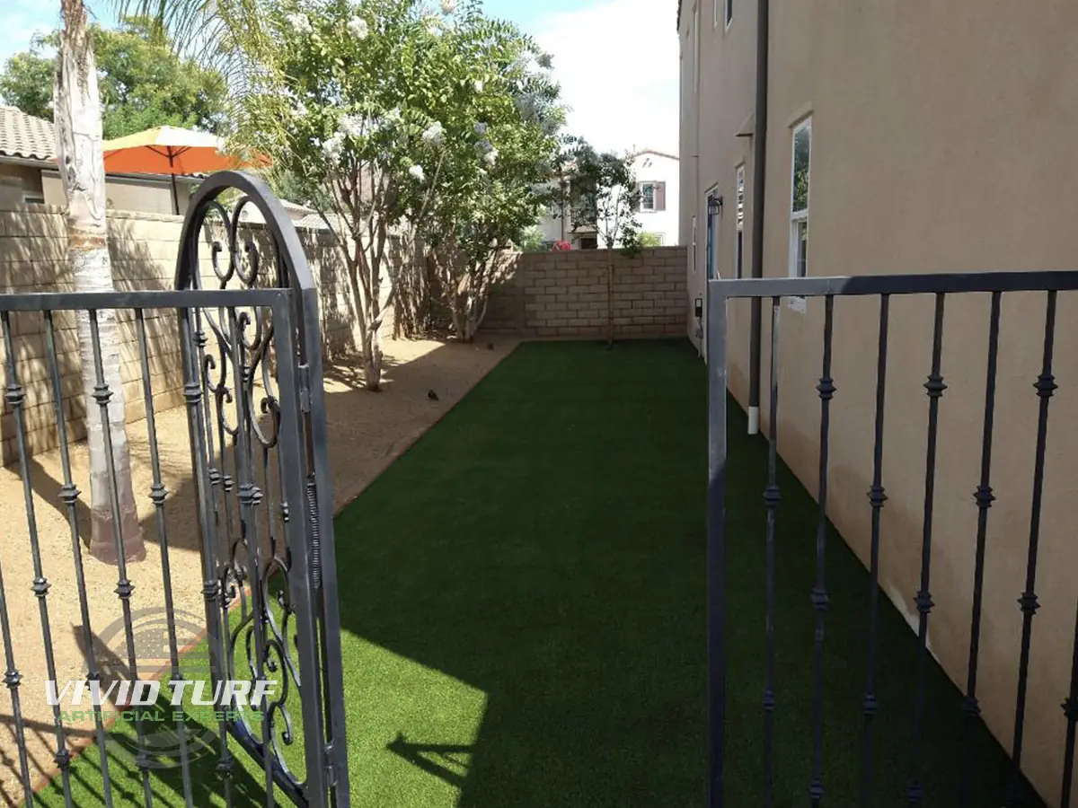 Narrow side yard lawn