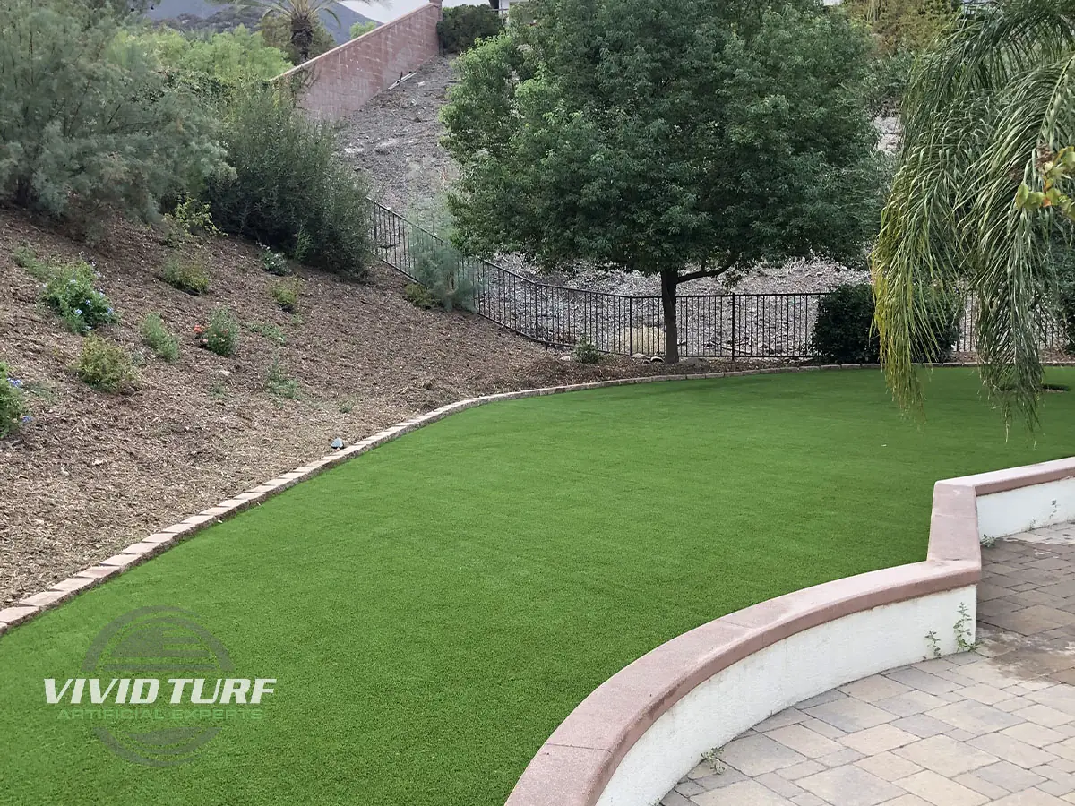 Backyard lawn