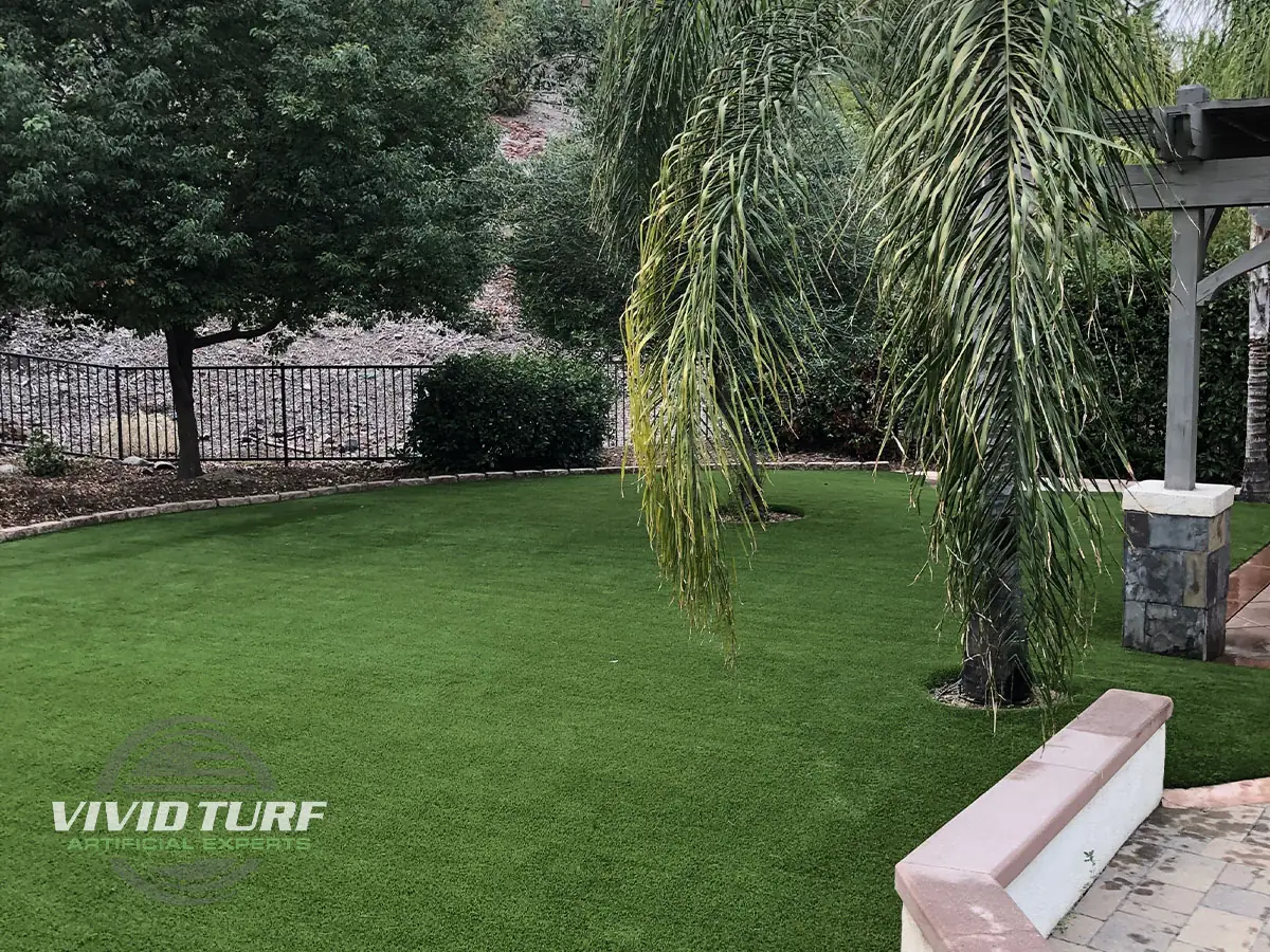Backyard lawn