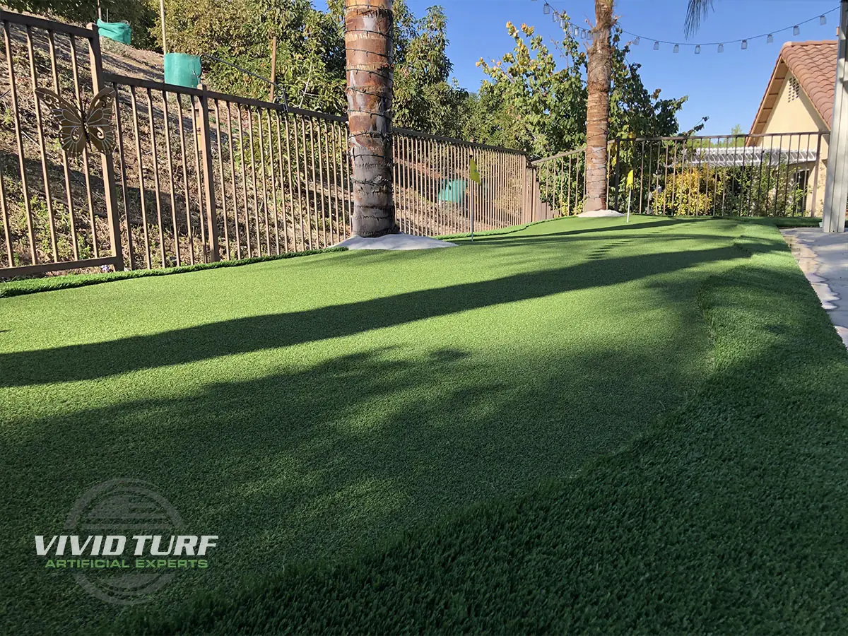 Backyard lawn