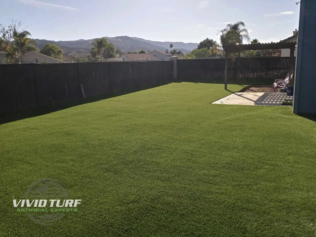 Backyard lawn