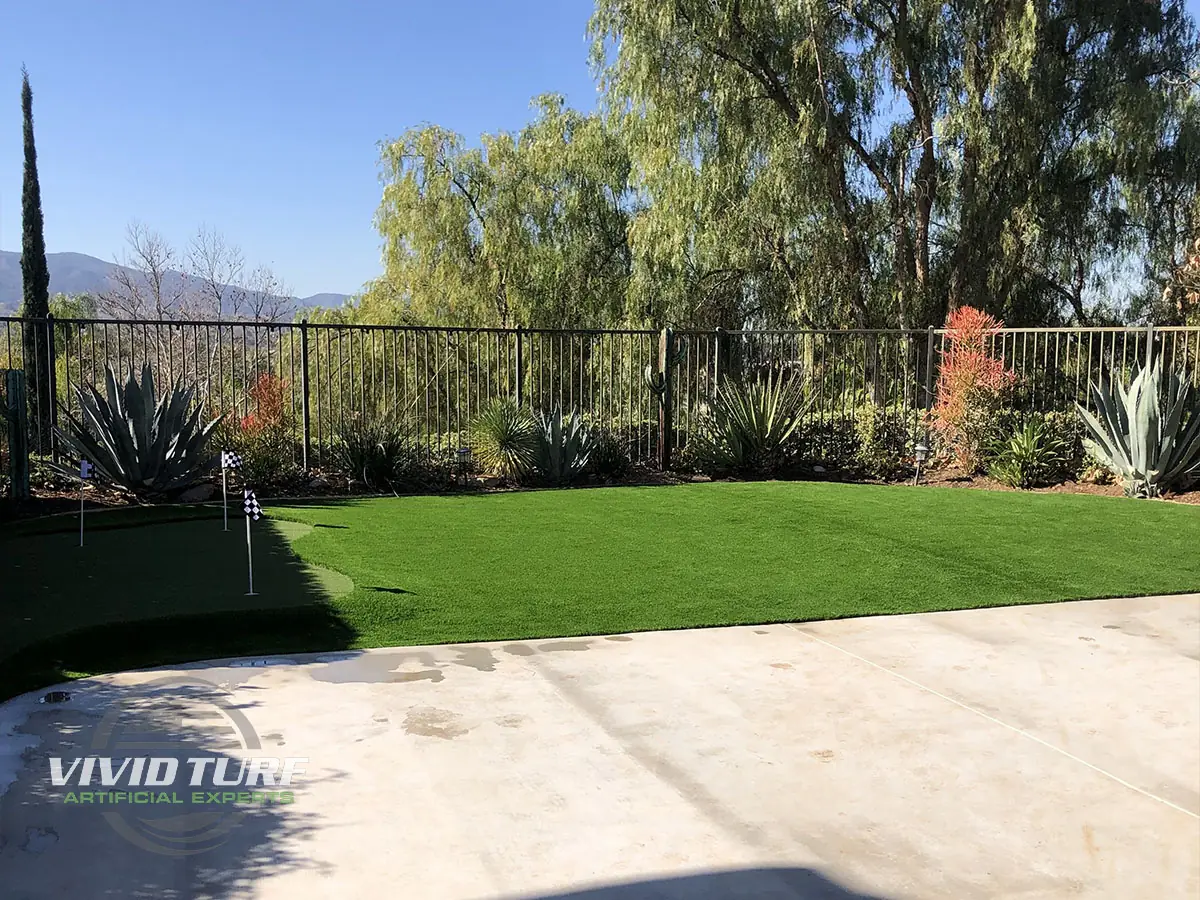 Lawn beside a driveway