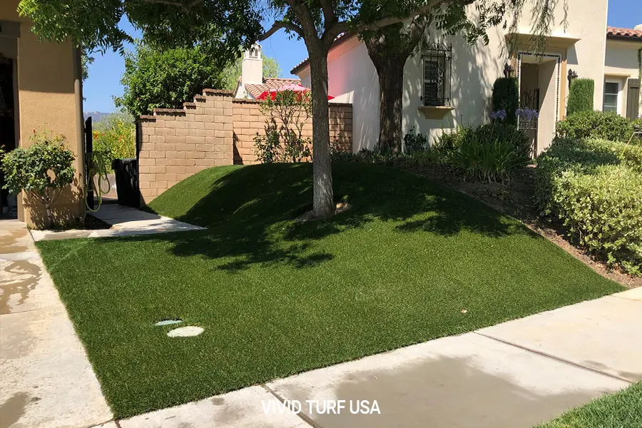 Front yard under a shade tree after Vivid Turf installation